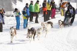 Lenk 2012 SM